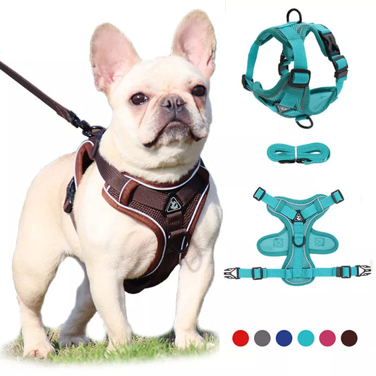 Dog Adjustable Harness and Leash Set