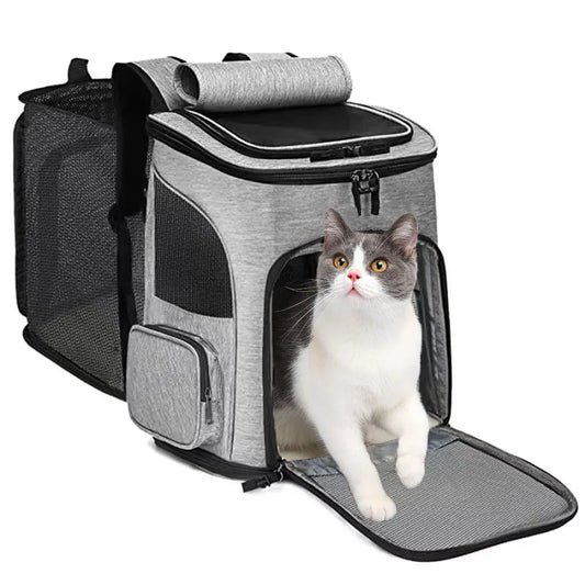 Pet Backpack