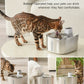 Cat Wireless 4L Water Fountain