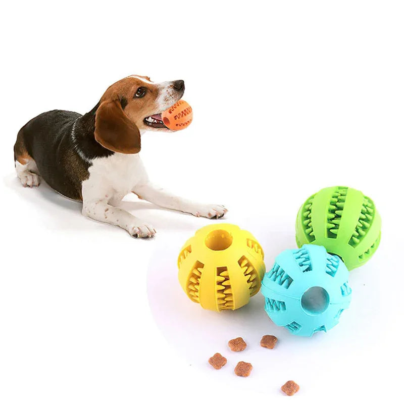 Treat Ball – Larrys Pet Store