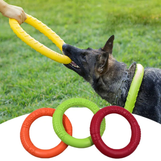 Dog Pull Ring