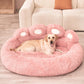 Dog Paw Shaped Bed