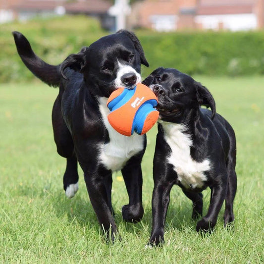 Dog Chuckit! Kick Fetch Ball